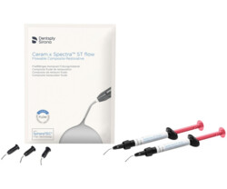 Ceram.x Spectra ST flow Applikatornadeln