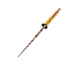 ProTaper Gold Feilen