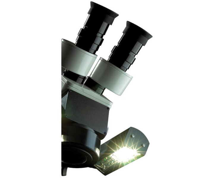Beleuchtung / Mikroskopie